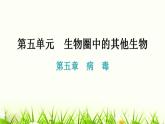 人教版八年级生物上册第五单元第五章病毒教学课件