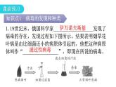 人教版八年级生物上册第五单元第五章病毒教学课件