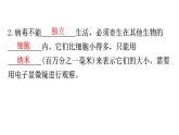 人教版八年级生物上册第五单元第五章病毒教学课件