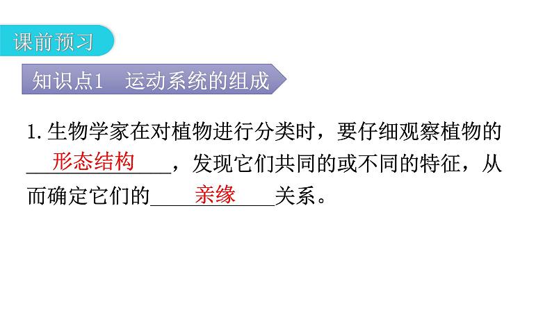 人教版八年级生物上册第六单元第一章第一节尝试对生物进行分类教学课件第4页