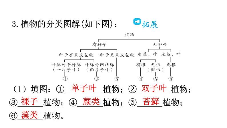 人教版八年级生物上册第六单元第一章第一节尝试对生物进行分类教学课件第6页