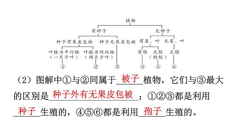 人教版八年级生物上册第六单元第一章第一节尝试对生物进行分类教学课件第7页