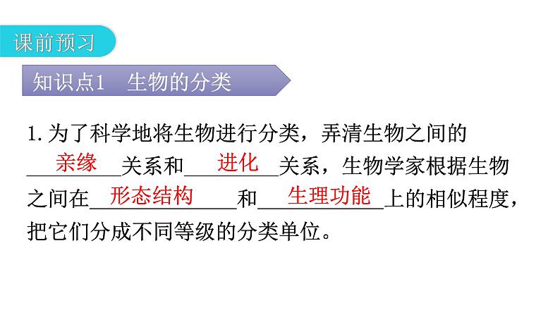 人教版八年级生物上册第六单元第一章第二节从种到界教学课件04