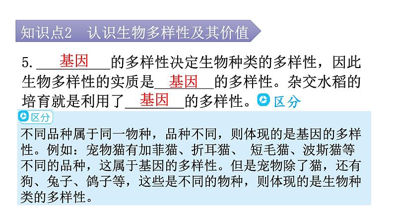 人教版八年级生物上册第六单元第二章认识生物的多样性教学课件07