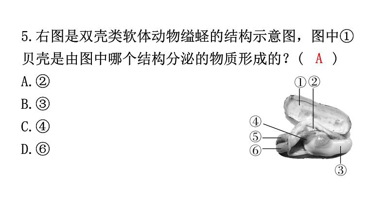 人教版八年级生物上册第五单元第一至第三章过关训练课件06