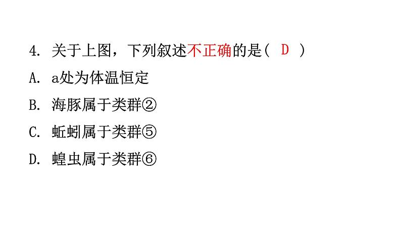 人教版八年级生物上册第六单元过关训练课件06