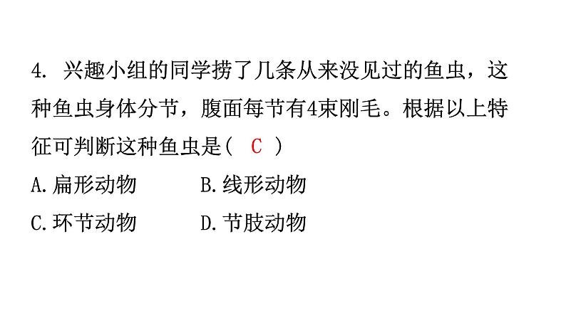 人教版八年级生物上册上册期中过关训练课件05