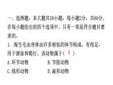 人教版八年级生物上册上册期末过关训练课件