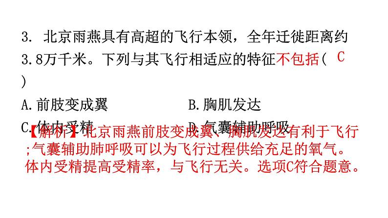 人教版八年级生物上册上册期末过关训练课件04