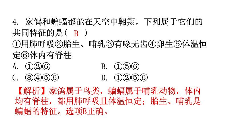 人教版八年级生物上册上册期末过关训练课件05