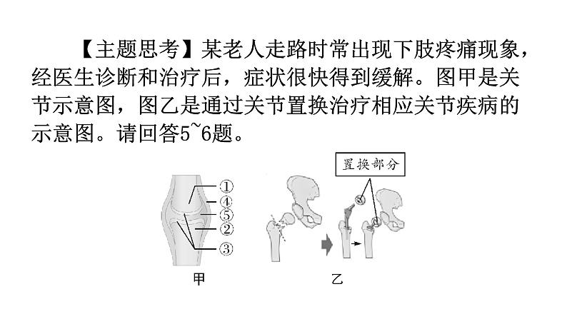 人教版八年级生物上册上册期末过关训练课件06