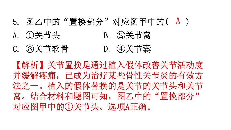 人教版八年级生物上册上册期末过关训练课件07