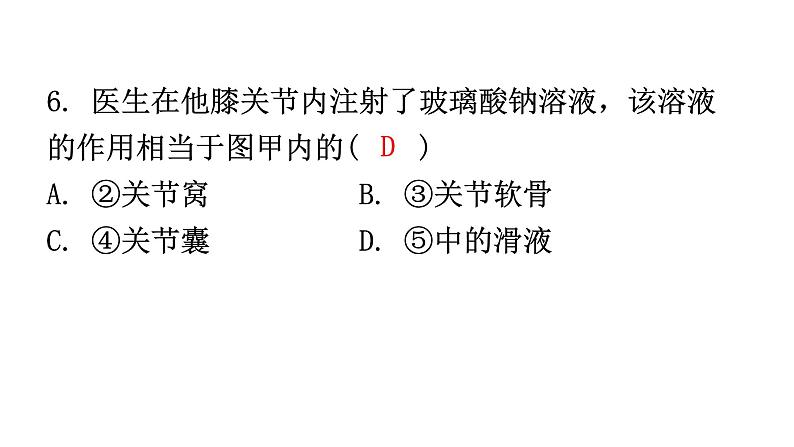 人教版八年级生物上册上册期末过关训练课件08