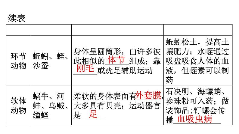 人教版八年级生物上册第五单元第一章动物的主要类群练习课件03