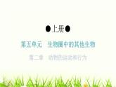 人教版八年级生物上册第五单元第二章动物的运动和行为练习课件