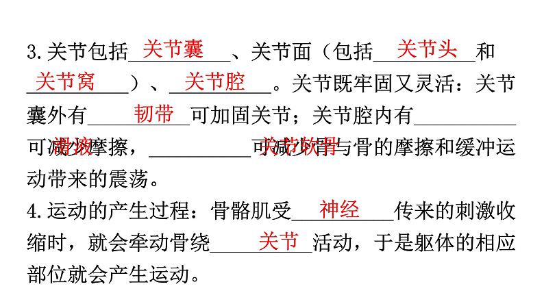 人教版八年级生物上册第五单元第二章动物的运动和行为练习课件第3页