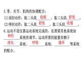 人教版八年级生物上册第五单元第二章动物的运动和行为练习课件