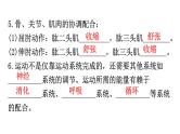 人教版八年级生物上册第五单元第二章动物的运动和行为练习课件