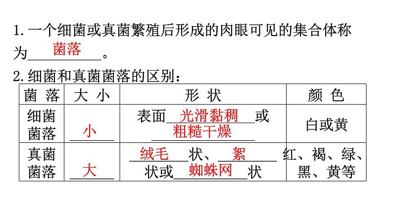 人教版八年级生物上册第五单元第四章细菌和真菌练习课件02