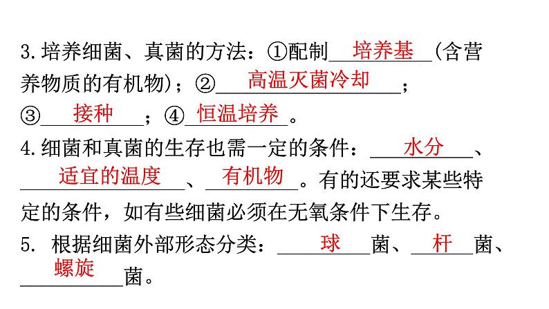 人教版八年级生物上册第五单元第四章细菌和真菌练习课件03