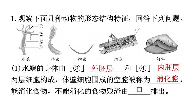 人教版八年级生物上册专项训练一读图理解课件第2页