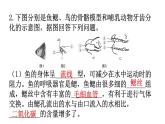 人教版八年级生物上册专项训练一读图理解课件