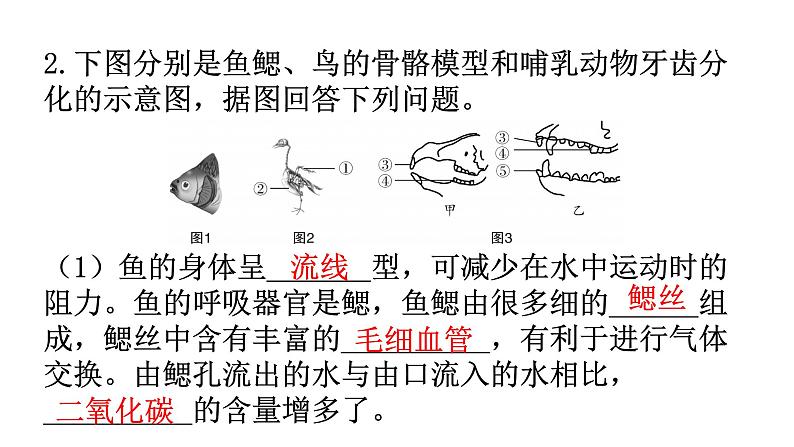 人教版八年级生物上册专项训练一读图理解课件第4页