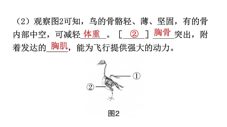 人教版八年级生物上册专项训练一读图理解课件第5页