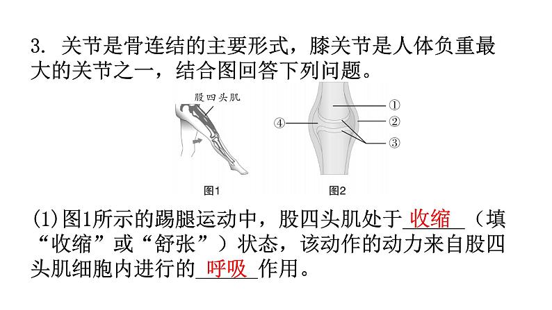 人教版八年级生物上册专项训练一读图理解课件第7页