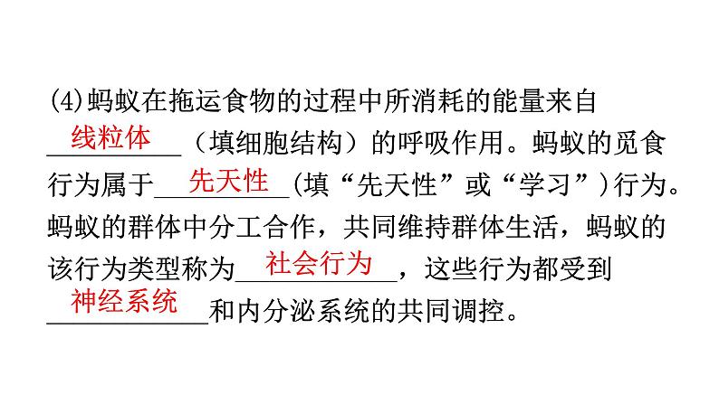 人教版八年级生物上册专项训练三实验探究课件04