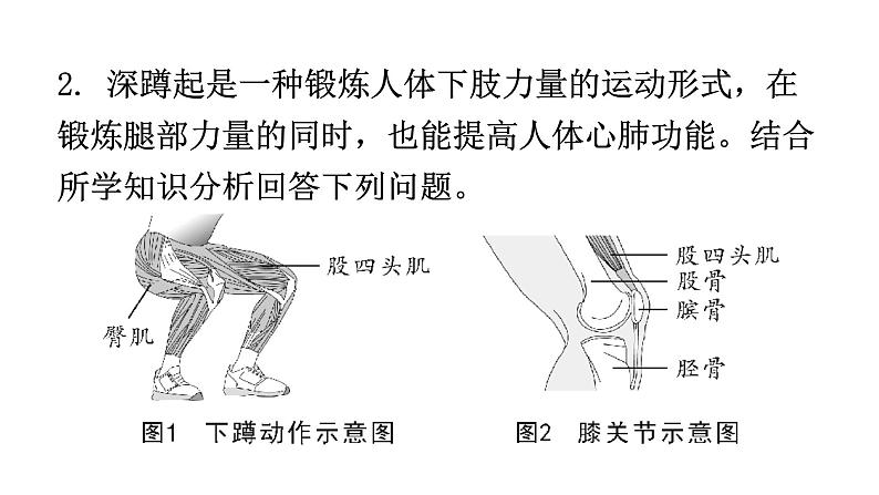 人教版八年级生物上册专项训练四综合应用课件05