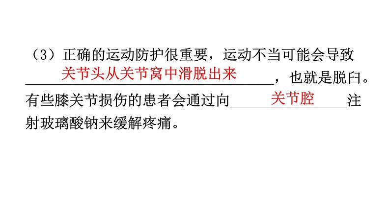 人教版八年级生物上册专项训练四综合应用课件07