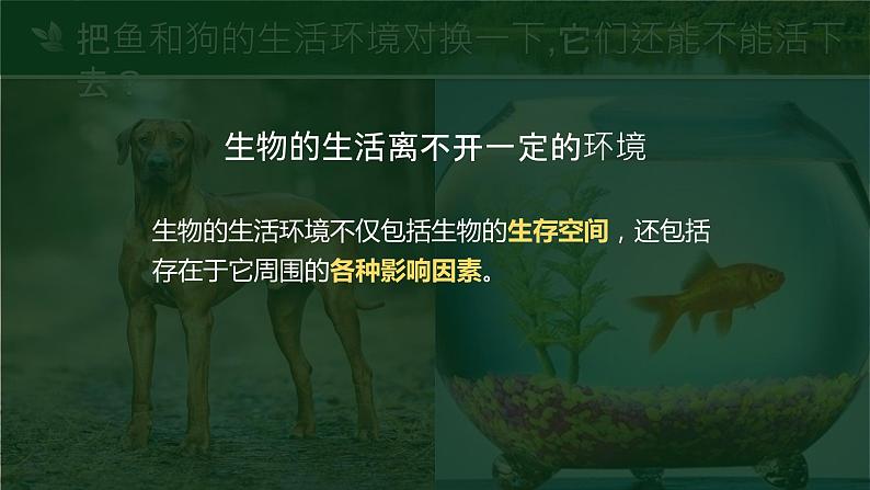 【核心素养目标】1.2.1《生物与环境的关系》课件06