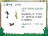 【核心素养目标】1.2.2《生物与环境组成生态系统》课件