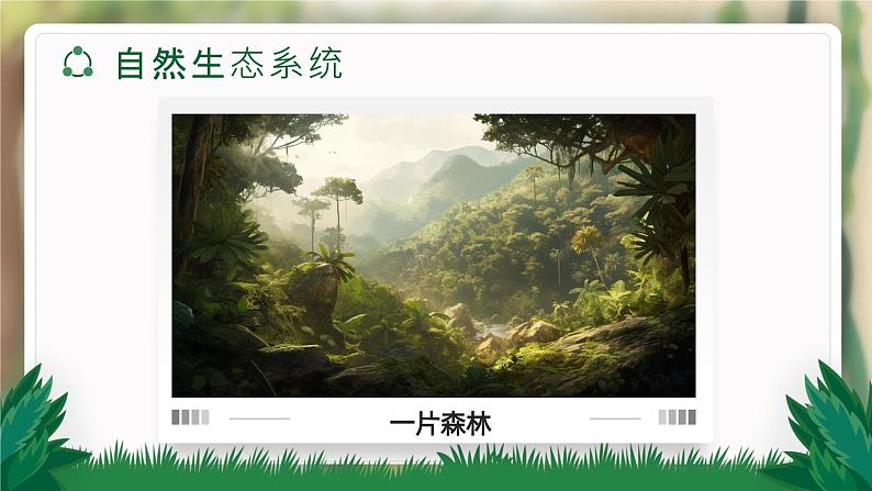 【核心素养目标】1.2.2《生物与环境组成生态系统》课件08