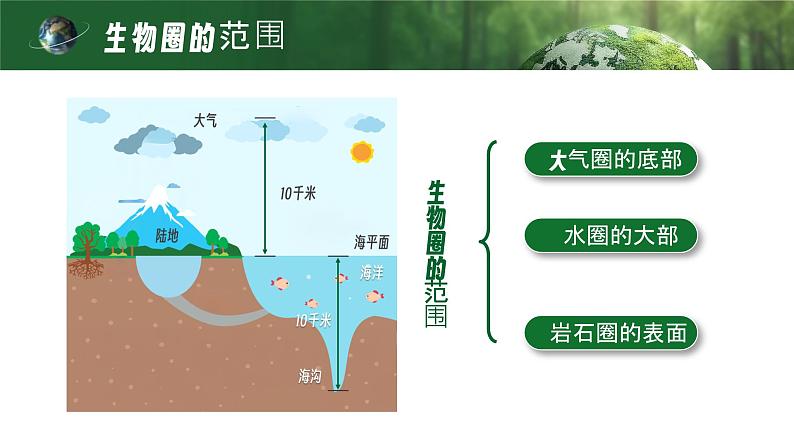 【核心素养目标】1.2.3《生物圈是最大的生态系统》课件06