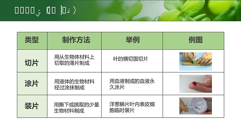 【核心素养目标】2.1.2《植物细胞》课件06