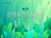 【核心素养目标】2.2.3《植物体的结构层次》课件