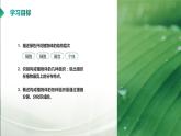 【核心素养目标】2.2.3《植物体的结构层次》课件