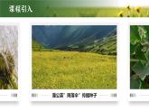 【核心素養(yǎng)目標(biāo)】3.1.2《種子植物》課件
