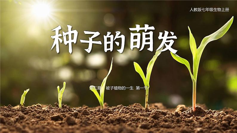 【升级重制】种子的萌发第1页