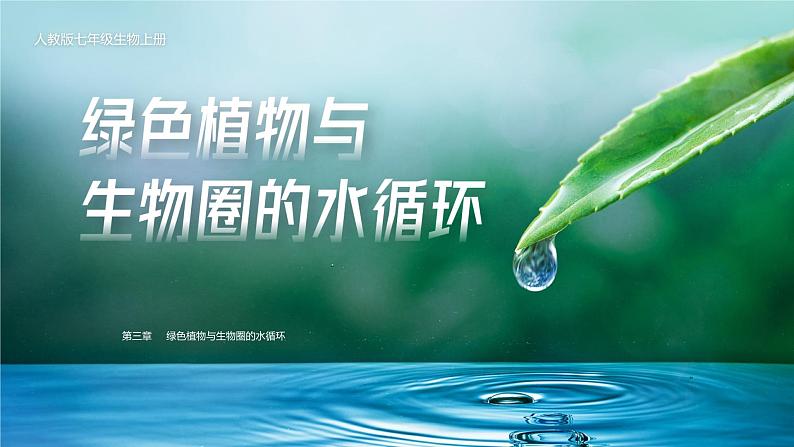 【核心素养目标】3.3《绿色植物与生物圈的水循环》课件01