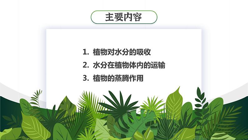 【核心素养目标】3.3《绿色植物与生物圈的水循环》课件06