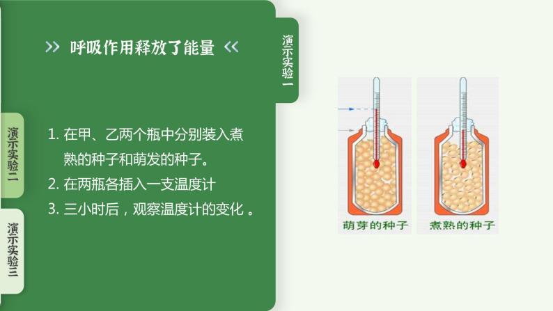 【核心素养目标】3.5.2《绿色植物的呼吸作用》课件08