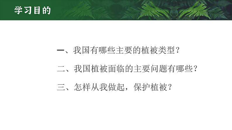 【升级重制】爱护植被，绿化祖国第3页