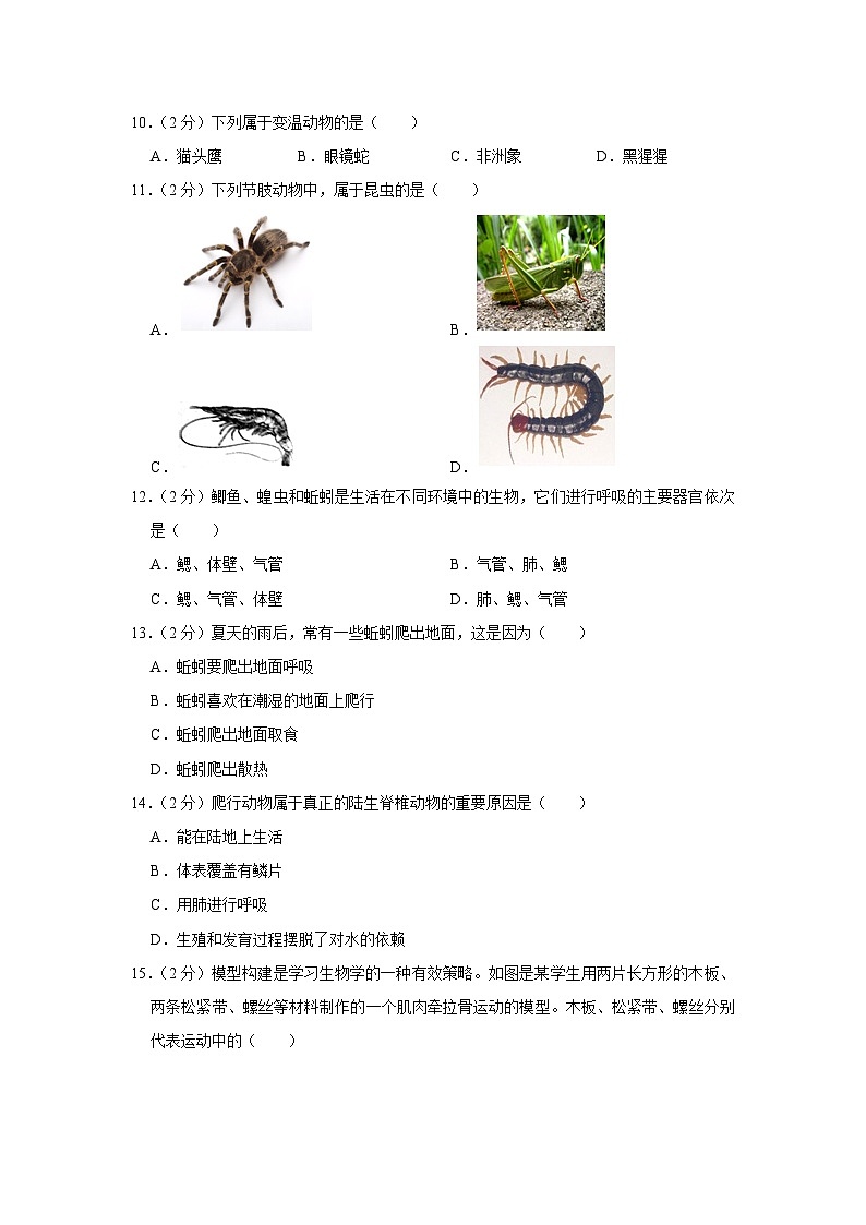 广东省茂名市电白区崇文学校2022-2023学年八年级上学期期中生物学试卷02