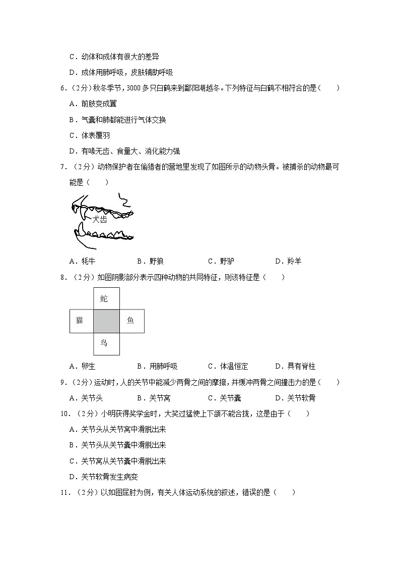 广东省阳江实验学校2022-2023学年八年级上学期期中生物试卷第2页