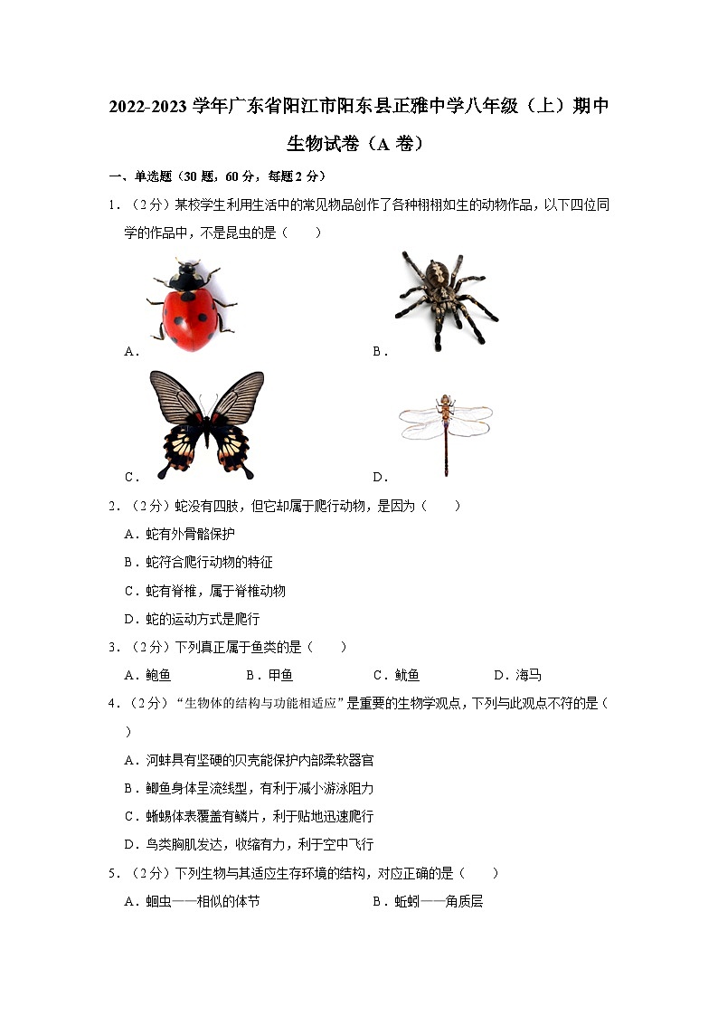 广东省阳江市阳东正雅中学2022-2023学年八年级上学期期中考试生物试题（A卷）第1页