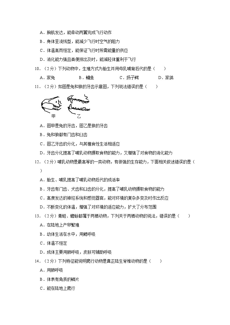 广西桂林市柘木初级中学2022-2023学年八年级上学期期中生物试卷02