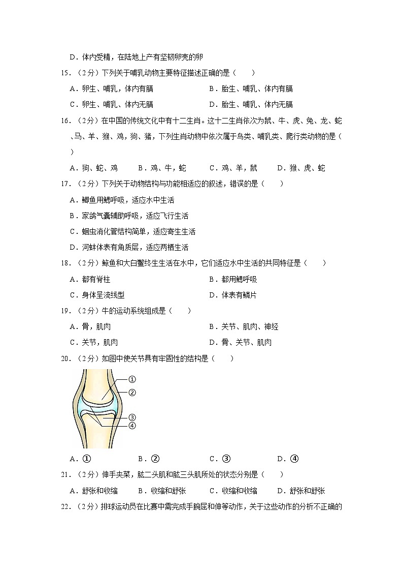 广西桂林市柘木初级中学2022-2023学年八年级上学期期中生物试卷03